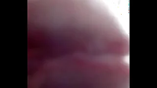 gordito sin verguenza